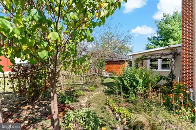 9157 Williamsport Pike, Falling Waters, WV 25419 - Photo 31