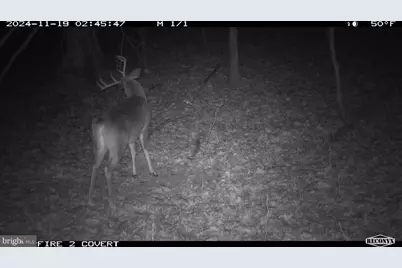 Terrain Drive, Hedgesville, WV 25427 - Photo 27