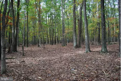 Terrain Drive, Hedgesville, WV 25427 - Photo 17