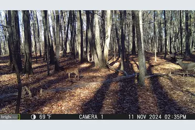 Terrain Drive, Hedgesville, WV 25427 - Photo 33