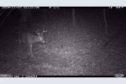 Terrain Drive, Hedgesville, WV 25427 - Photo 35