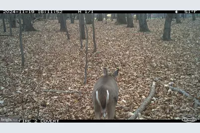 Terrain Drive, Hedgesville, WV 25427 - Photo 25