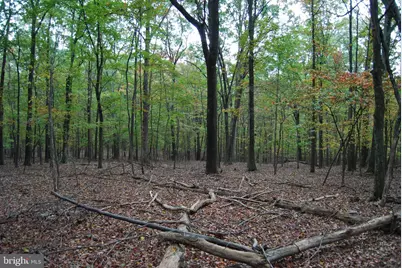 Terrain Drive, Hedgesville, WV 25427 - Photo 11