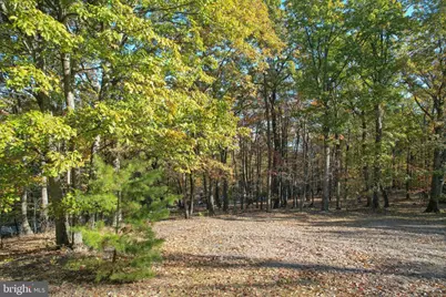 757 Pee Wee Lane, Hedgesville, WV 25427 - Photo 49