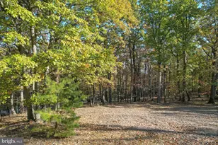 757 Peewee Ln, Hedgesville, WV 25427 - Photo 49