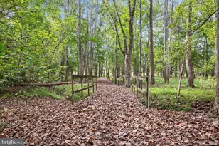 97 Elnina Dr, Hedgesville, WV 25427 - Photo 7