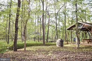 97 Elnina Dr, Hedgesville, WV 25427 - Photo 101