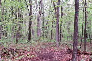 Lot 33 Nestle Quarry Rd, Falling Waters, WV 25419 - Photo 1