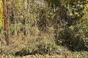 Lot 75 Rothwell Ave, Martinsburg, WV 25401 - Photo 1