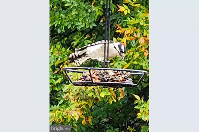 44 Scrub Pine Court, Bunker Hill, WV 25413 - Photo 59