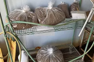 878 Hatchery Rd, Inwood, WV 25428 - Photo 105