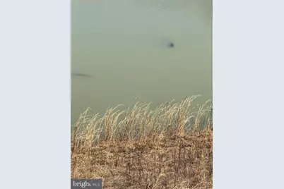 878 Hatchery Road, Inwood, WV 25428 - Photo 79