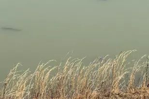 878 Hatchery Rd, Inwood, WV 25428 - Photo 79