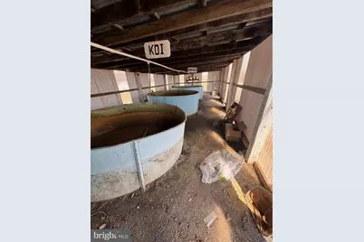 878 Hatchery Road, Inwood, WV 25428 - Photo 39