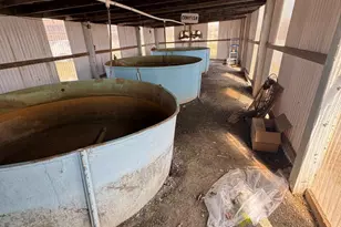 878 Hatchery Rd, Inwood, WV 25428 - Photo 39