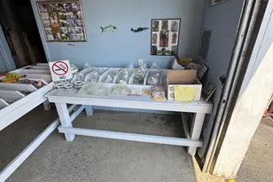 878 Hatchery Rd, Inwood, WV 25428 - Photo 99