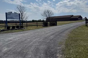 878 Hatchery Rd, Inwood, WV 25428 - Photo 111