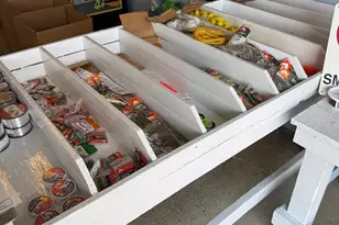 878 Hatchery Rd, Inwood, WV 25428 - Photo 101