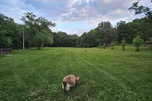 11178 Hedgesville Rd, Hedgesville, WV 25427 - Photo 13