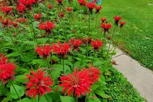 11178 Hedgesville Rd, Hedgesville, WV 25427 - Photo 61