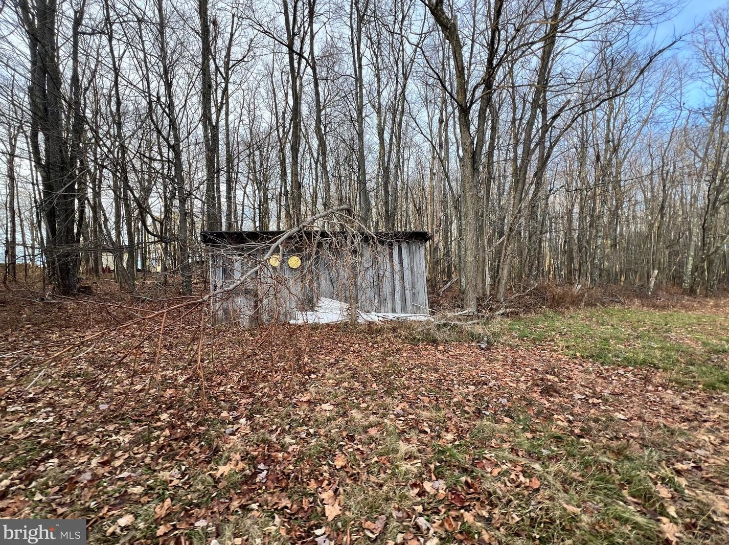 41 Fannie Way, Mount Storm WV  26739 exterior