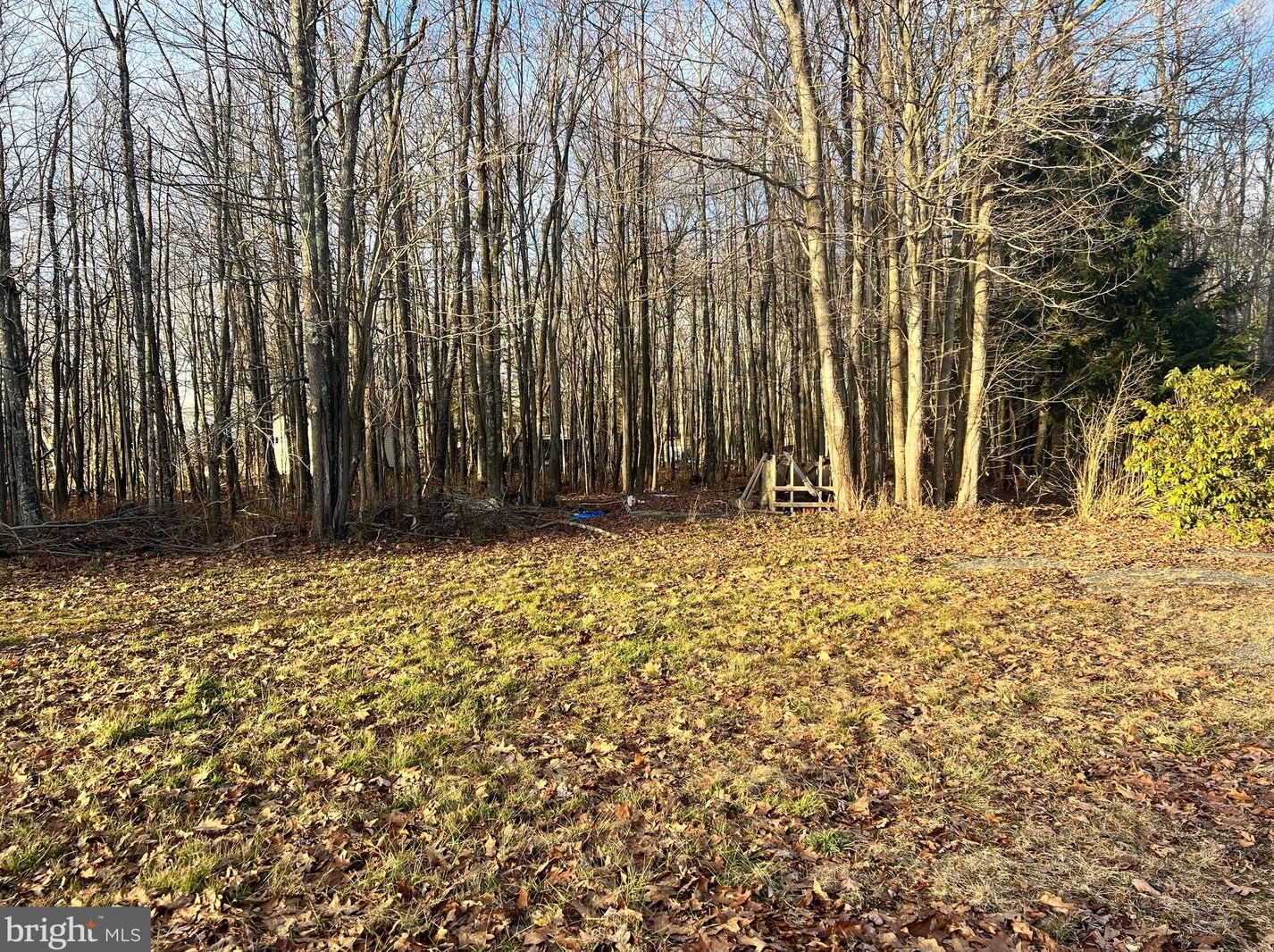 41 Fannie Way, Mount Storm WV  26739 exterior