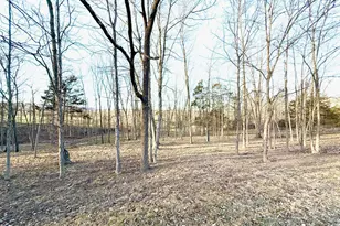 401 Nighthawk Dr, Petersburg, WV 26847 - Photo 17