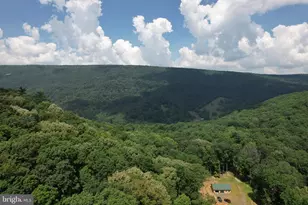 1079 Little Mountain, Cabins, WV 26855 - Photo 39