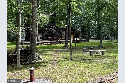 230 Polar Bear Road, Maysville, WV 26833 - Photo 55