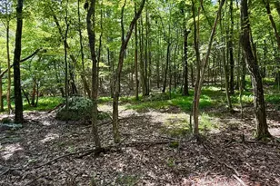 230 Polar Bear Rd, Maysville, WV 26833 - Photo 43