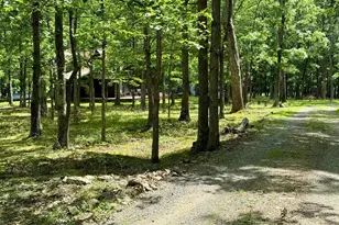 230 Polar Bear Rd, Maysville, WV 26833 - Photo 57