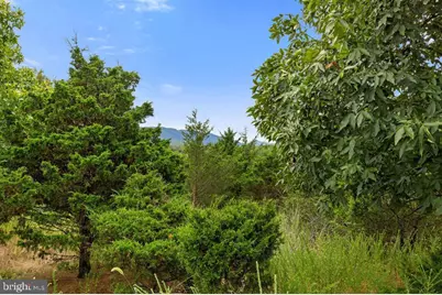 93 Adare Lane, Maysville, WV 26833 - Photo 55