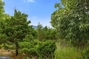 93 Adare Ln, Maysville, WV 26833 - Photo 55