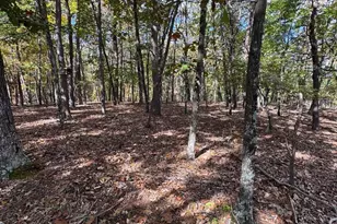 961 Almost Heaven Dr, Petersburg, WV 26847 - Photo 37