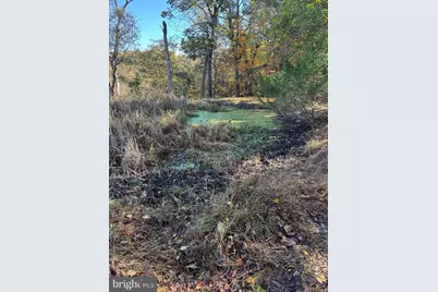 961 Almost Heaven Drive, Petersburg, WV 26847 - Photo 5