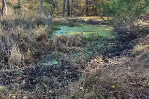 961 Almost Heaven Dr, Petersburg, WV 26847 - Photo 5