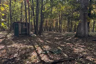 961 Almost Heaven Dr, Petersburg, WV 26847 - Photo 45