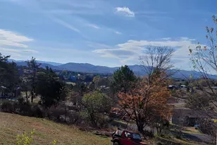 131 Little Hickory Rd, Petersburg, WV 26847 - Photo 3