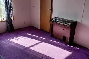 131 Little Hickory Rd, Petersburg, WV 26847 - Photo 27