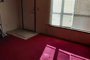 131 Little Hickory Rd, Petersburg, WV 26847 - Photo 5