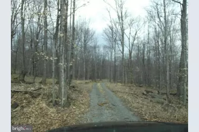 421 Head Road, Mount Storm, WV 26739 - Photo 11