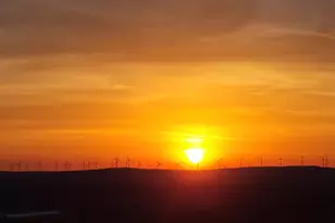 421 Head Rd, Mount Storm, WV 26739 - Photo 33