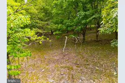 55 & 56 Sarah Lincoln Dr., New Creek, WV 26743 - Photo 5