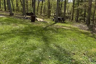 431 Lost River State Park Rd, Moorefield, WV 26836 - Photo 25