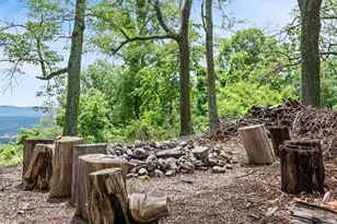 564 Highland Springs Rd, Moorefield, WV 26836 - Photo 19