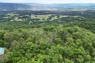 564 Highland Springs Rd, Moorefield, WV 26836 - Photo 29