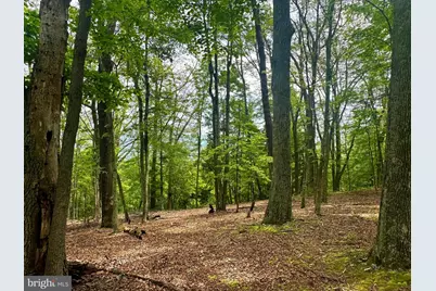 5620 High Knob Loop, Old Fields, WV 26845 - Photo 1