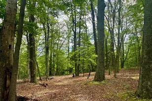 5620 High Knob Loop, Old Fields, WV 26845 - Photo 1