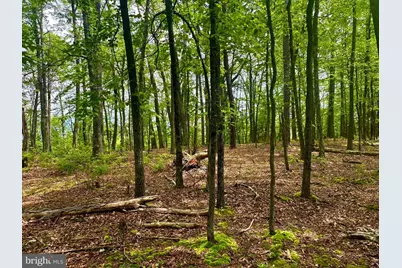 5620 High Knob Loop, Old Fields, WV 26845 - Photo 29