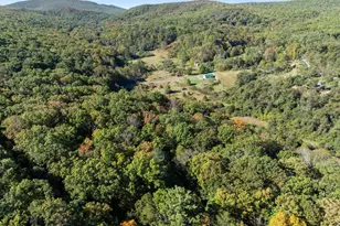 15 Meadow View Dr, Lost River, WV 26810 - Photo 35